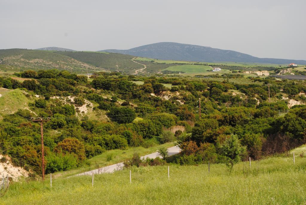 Daniil'S Luxury Villa And Spa Agios Antonios  ภายนอก รูปภาพ
